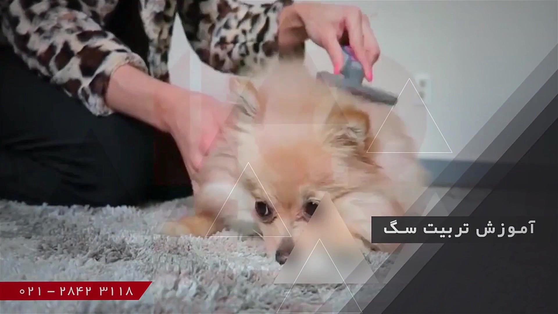 دوره آموزش کشت هیدروپونیک آموز...