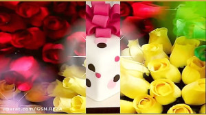 تولدت مبارک ابجی نازنینم(مرسی...