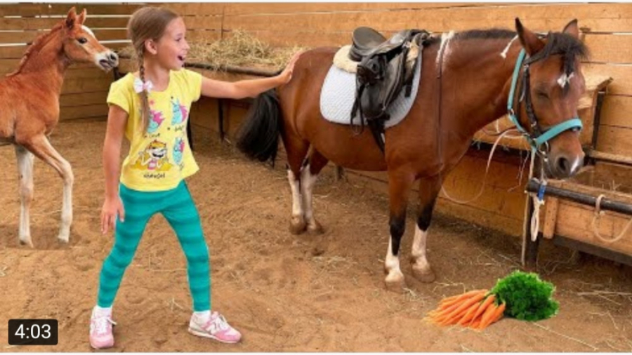 بچه‌ها رفتن پیش اسب کوچولو !!!...