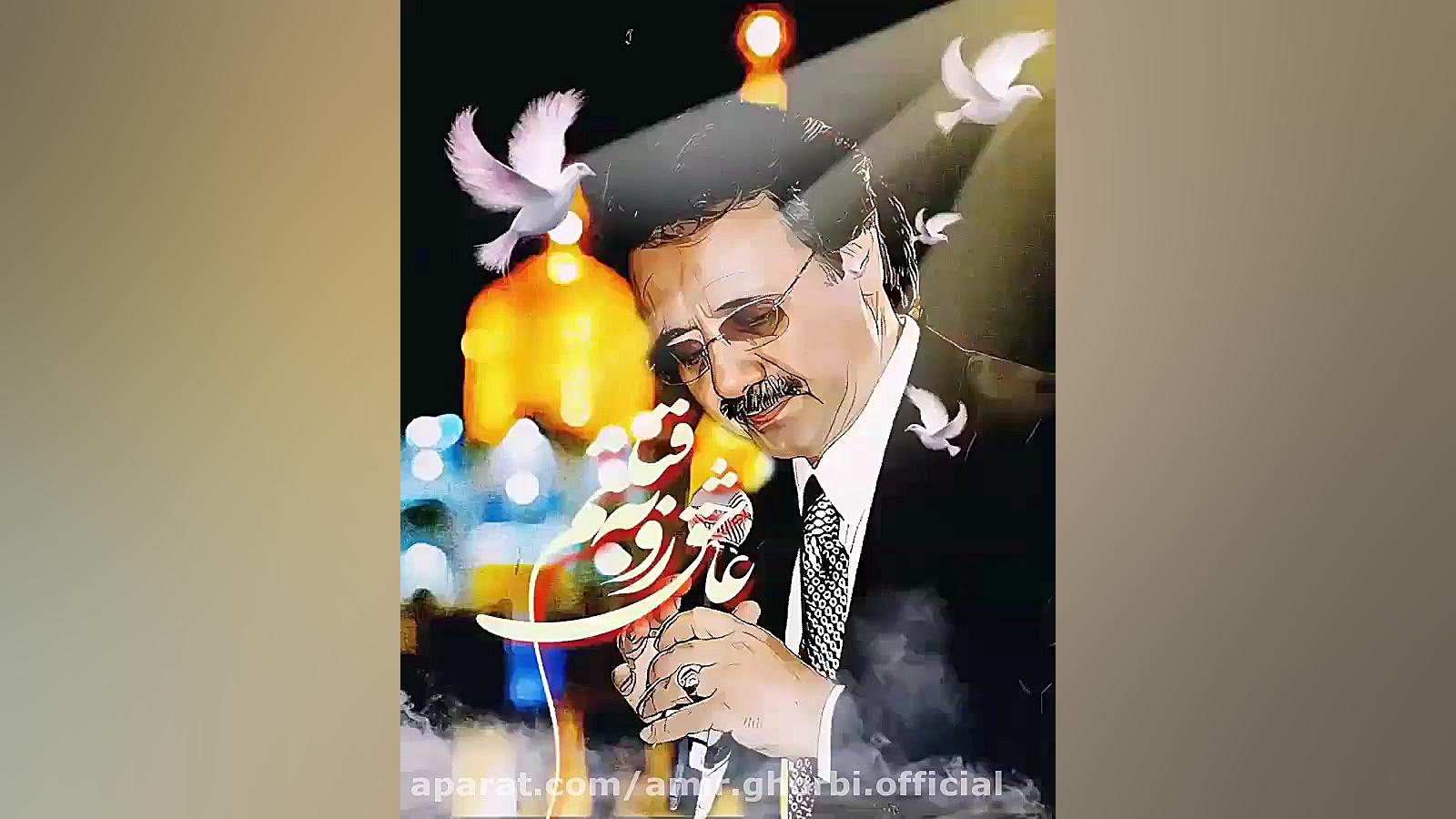 وقتی معین برای امام رضا ع میخو...