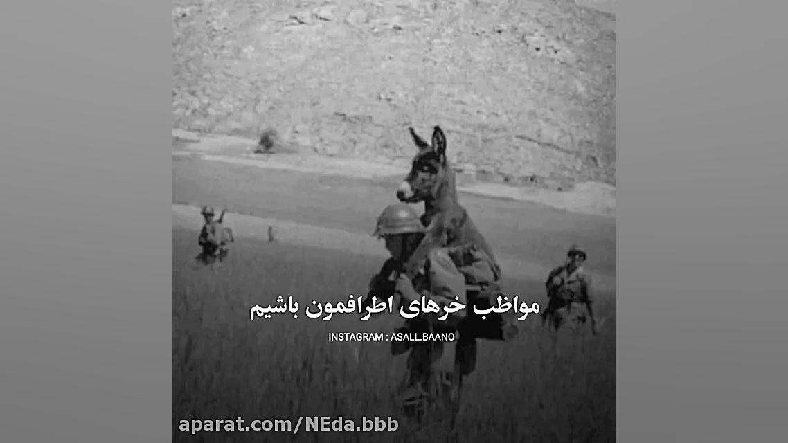 کلیپ مفهومی  مواظب خرهای اطراف...