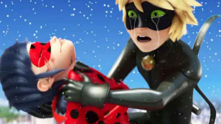 لیدی باگ و کت نوار | دانلود کا...