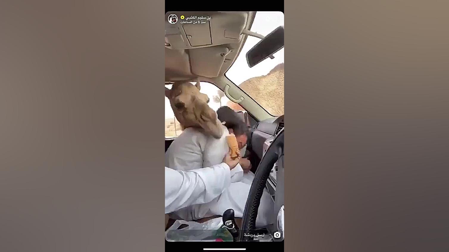 فیلم خنده دار