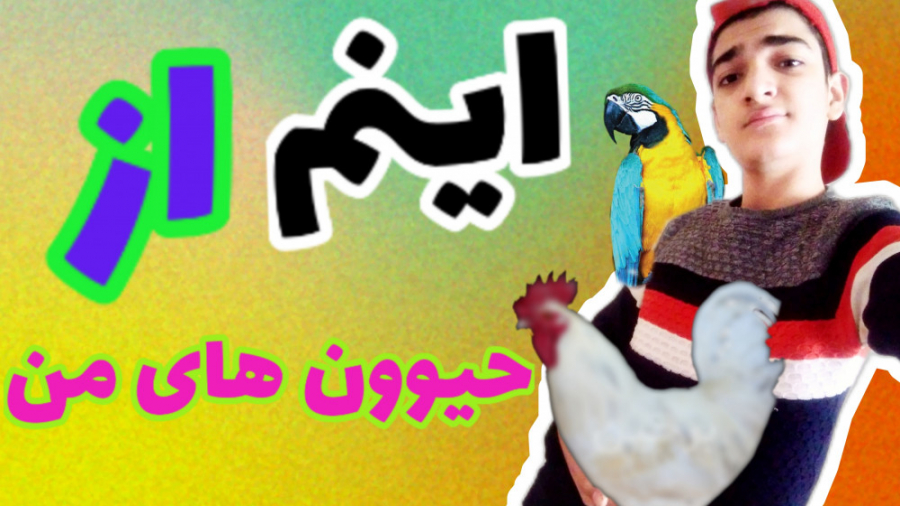 ولاگ حیوانات | بلاخره حیواناتم...