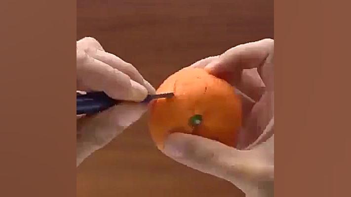 درست کردن عکس حیوانات