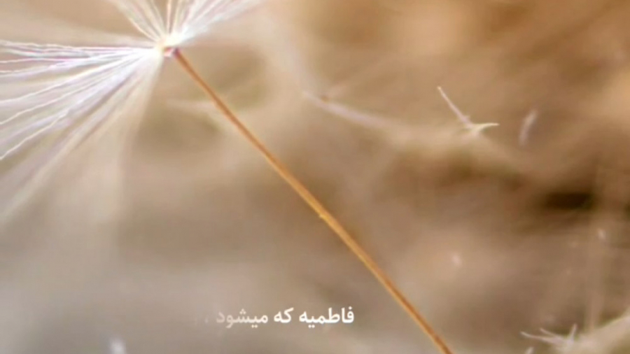 کلیپ ایام فاطمیه 1400 | کلیپ ا...