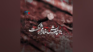 شهادت حضرت فاطمه زهرا (س) تسلی...