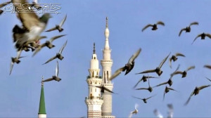 کلیپ ایام فاطمیه و تسلیت شهادت...