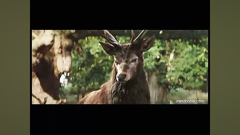 فیلم سیندرلا 2015 Cinderella پ...