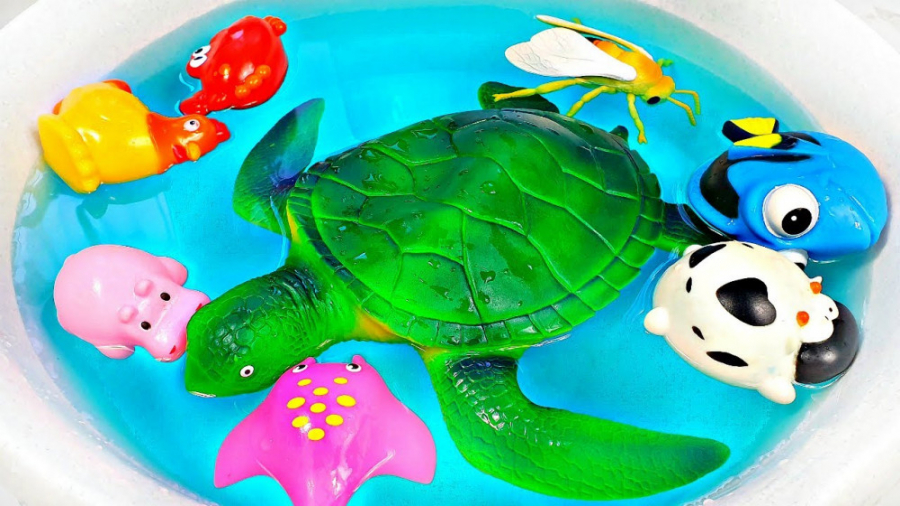 برنامه کودک حیوانات  حیوانات چ...