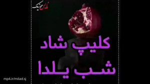 کلیپ شاد شب یلدا کلیپ یلدایی ج...