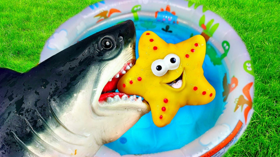 کارتون آموزشی حیوانات  برنامه...