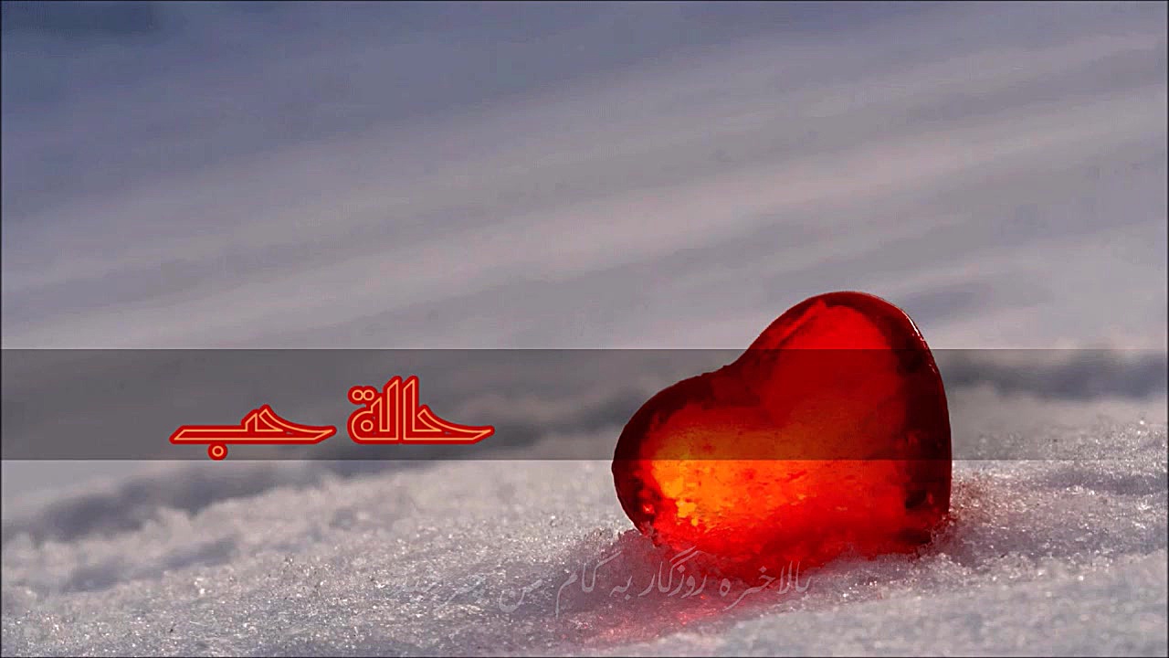 آهنگ عربى  حالة حب  الیسا  wit...