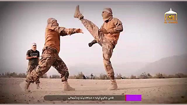 مجاهدین‌امارت‌اسلامی‌افغانستان