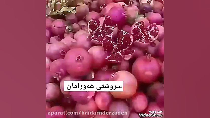عثمان هورامی
