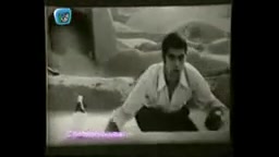 بهروز وثوقی در فیلم طوقی