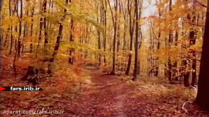 موشن گرافی عرفانی و آرامش بخش....