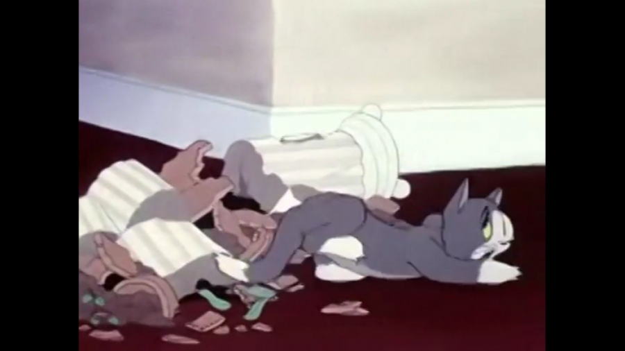 کارتون تام جری.موش گربه جدید