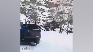 نیسان