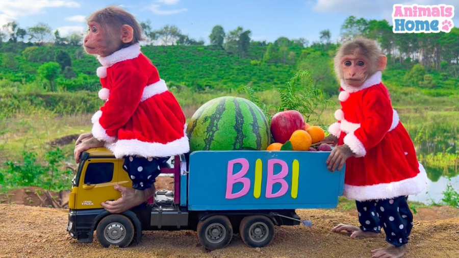 برنامه کودک باحال بچه میمون  ب...