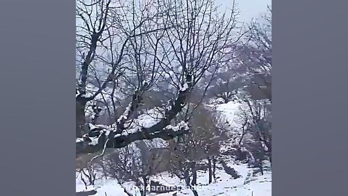 عثمان هورامی