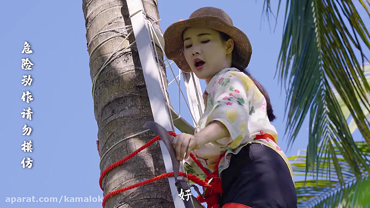 تدارک یک میز شام با میوه نارگی...