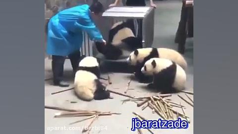 کلاس انلاین