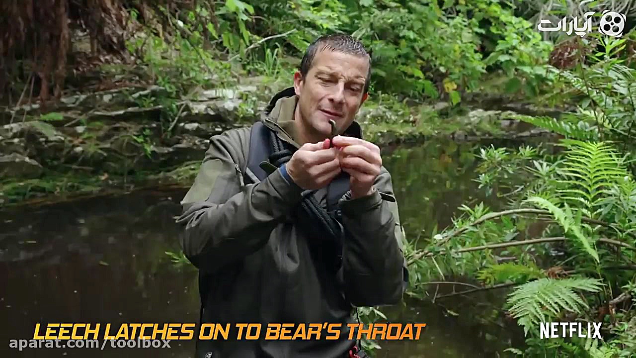 به نظرتون این کلیپها واقعی هست...