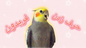 آواز خواندن عروس هلندی :: حرف...