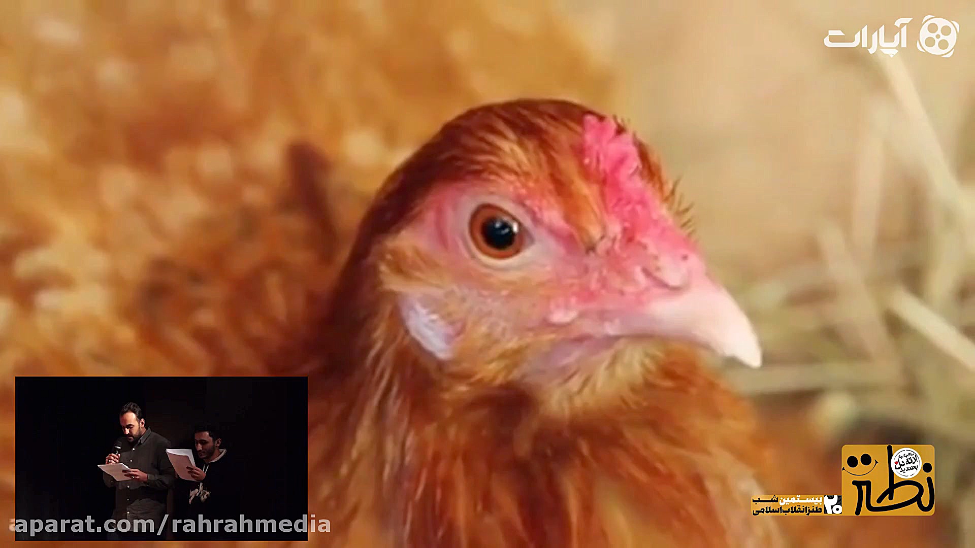 جانداری به نام دانشجو...