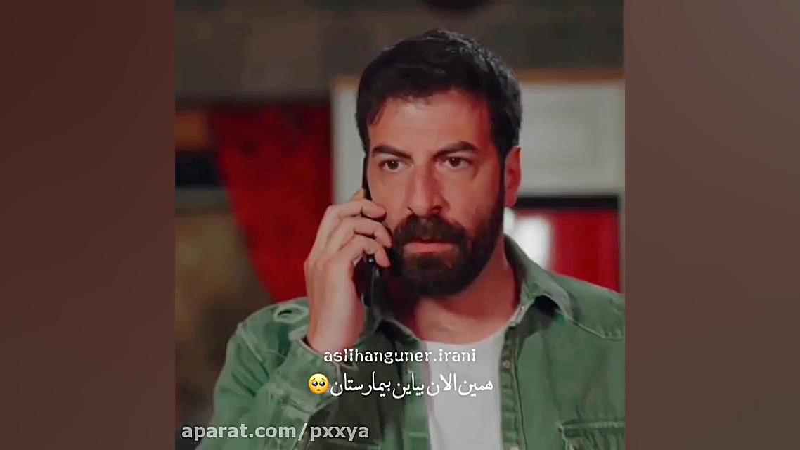 ستاره شمالی