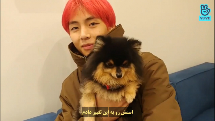 ویلایو 2018 تهیونگ &laquo;V&ra...