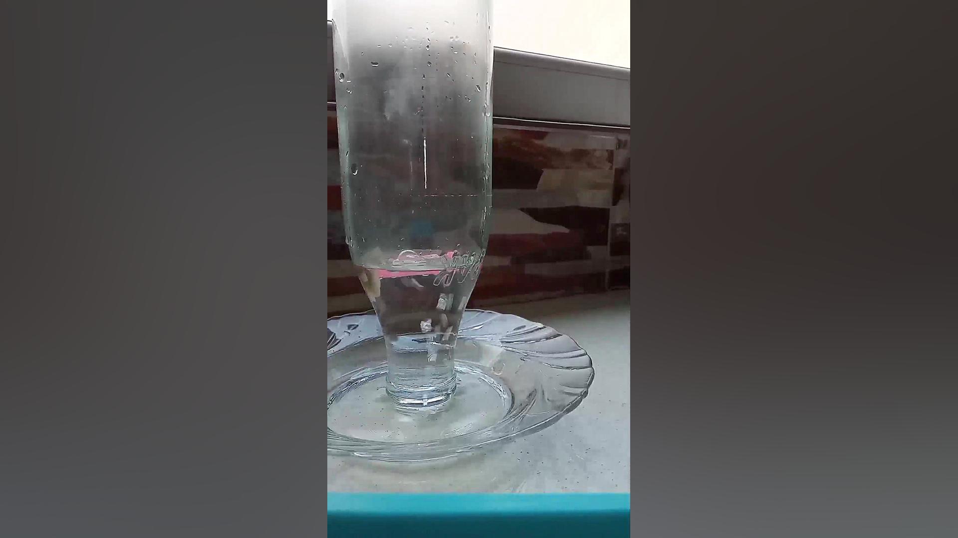 تست ویدیو های اینستاگرام با ری...