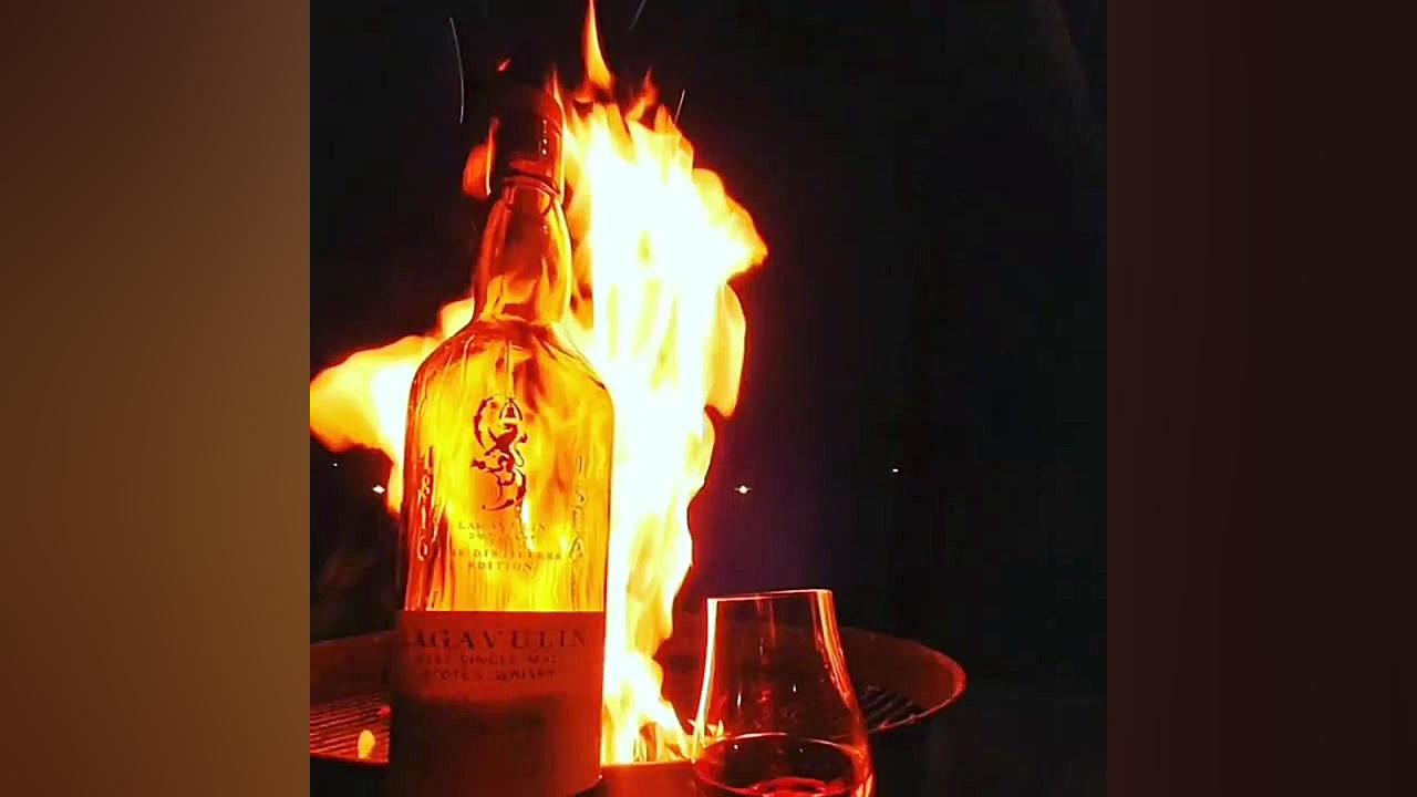 فلک نکش مارا