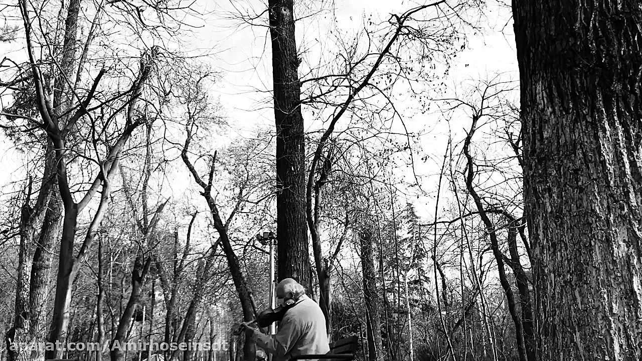 نوازنده قديمي پارك قيطريه (اهن...