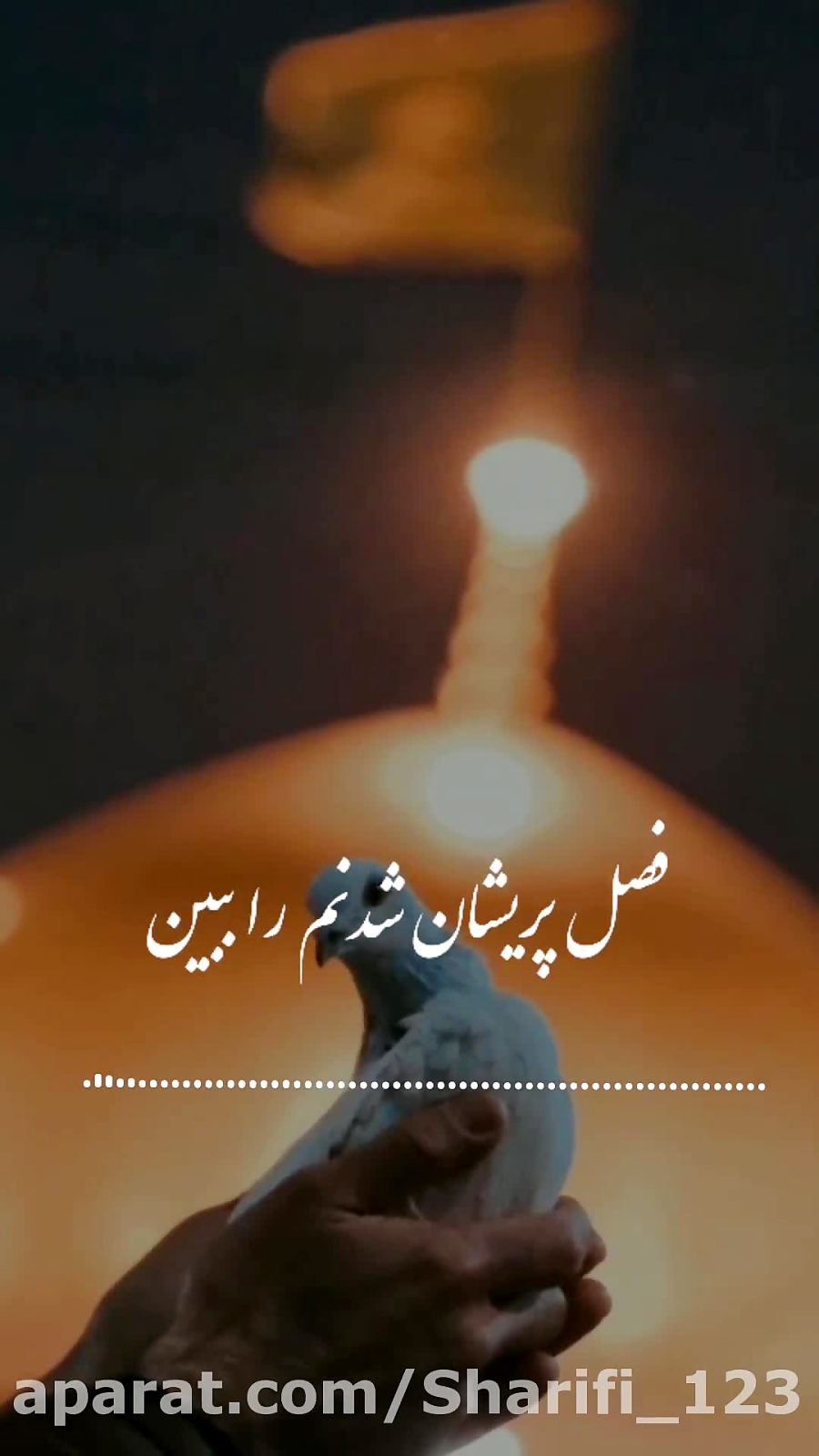 دلتنگ حرم...