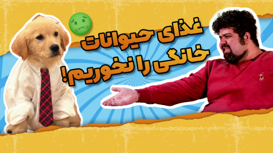 نقاشی روی راک | غذای حیوان خان...