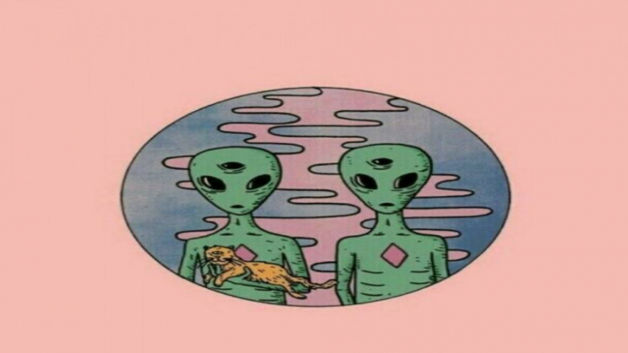 آنباکسینگ از دیجی کالا Unboxin...