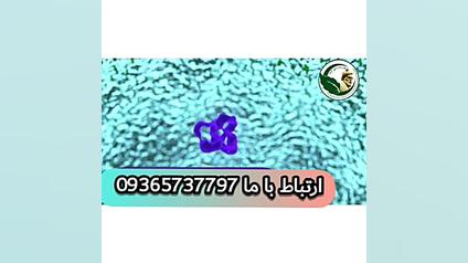 زگیل تناسلی یا hpv و درمانش در...