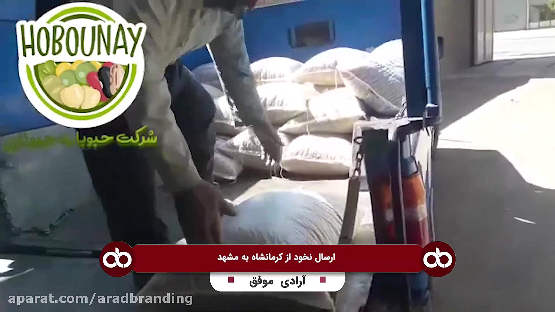 تاجر موفق آرادی ارسال نخود از...