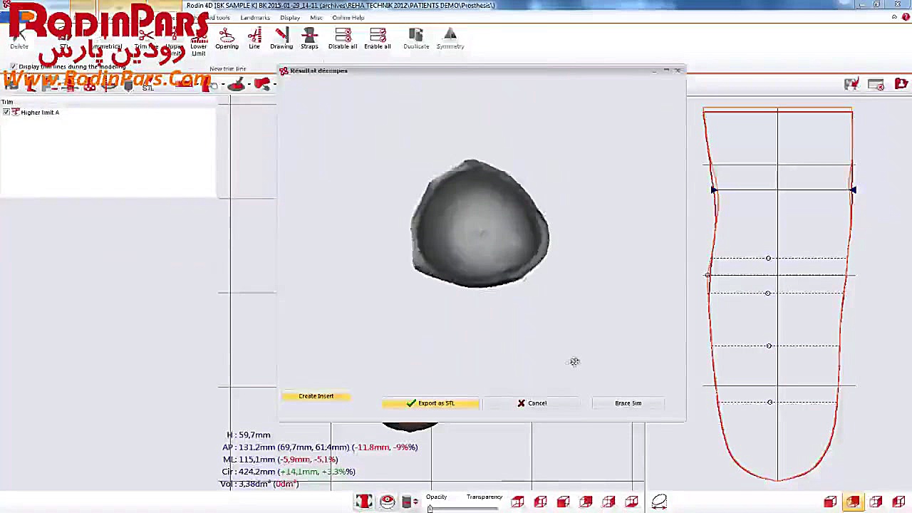 Rodin4D Neo شبیه سازی سه بعدی...