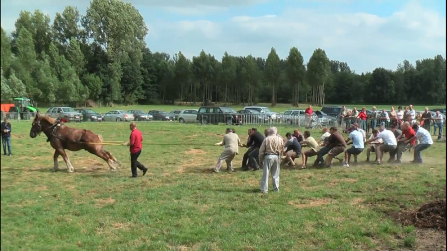 مسابقه طناب کشی بین 18 مرد و ی...