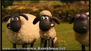 بره ناقلا