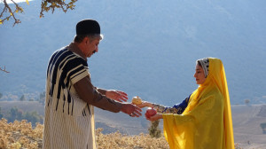 شاعر انار ندارد
