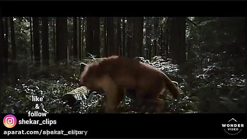 میکس سریال گرگ و میش