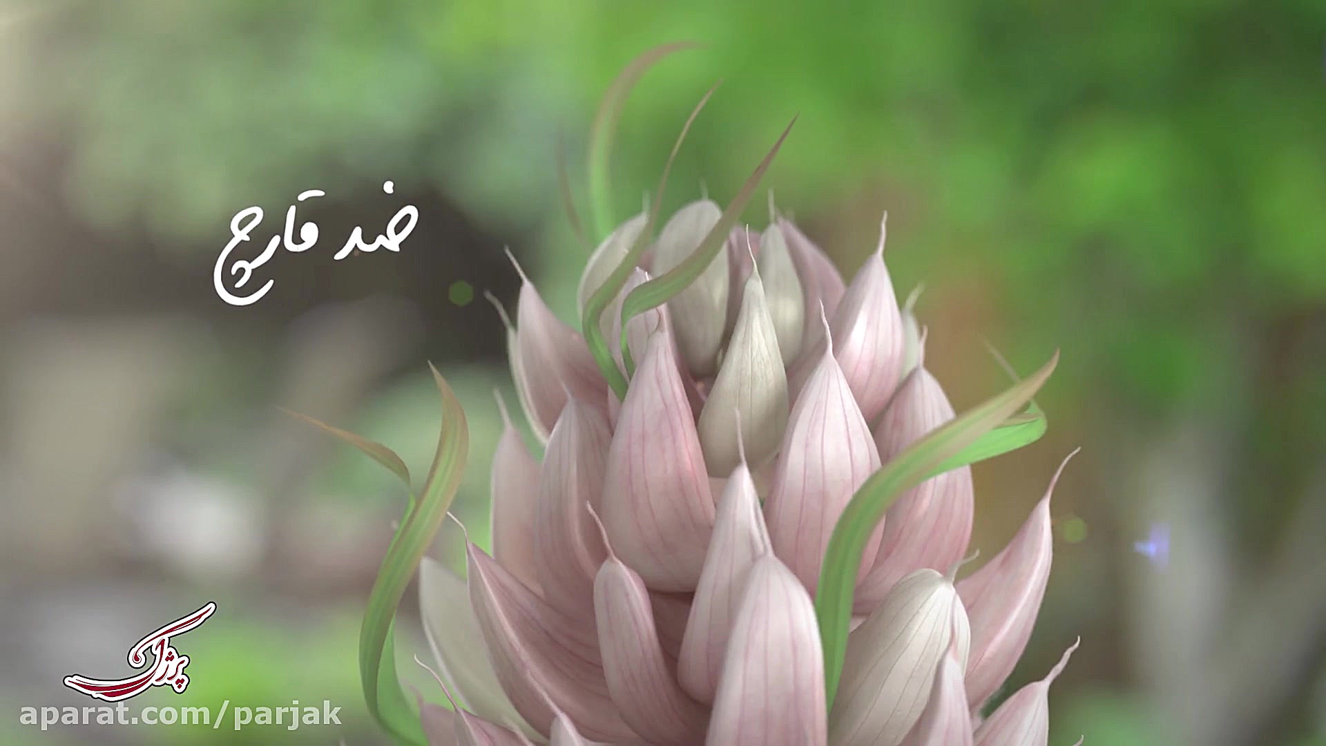 شامپو سیر پرژک  Parjak Garlic...