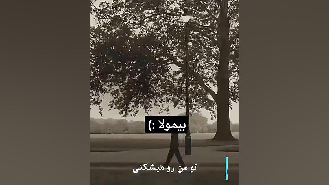 فالو فالو فالو فالوووووووو(*^o^*)(*^o^*)