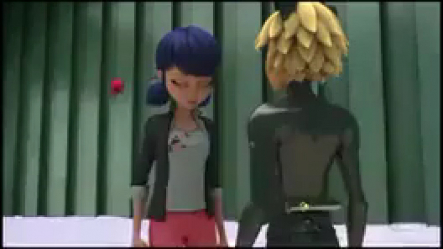 وقتی گربه سیاه میفهمه دختر کفش...