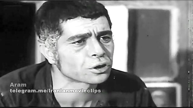 جاودانه ها  گوزنها