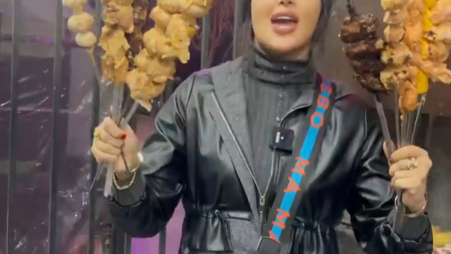 درست کردن و تیست انواع کباب در...